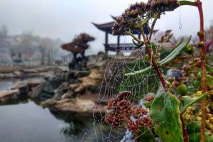 Парк Новая Софиевка, Умань